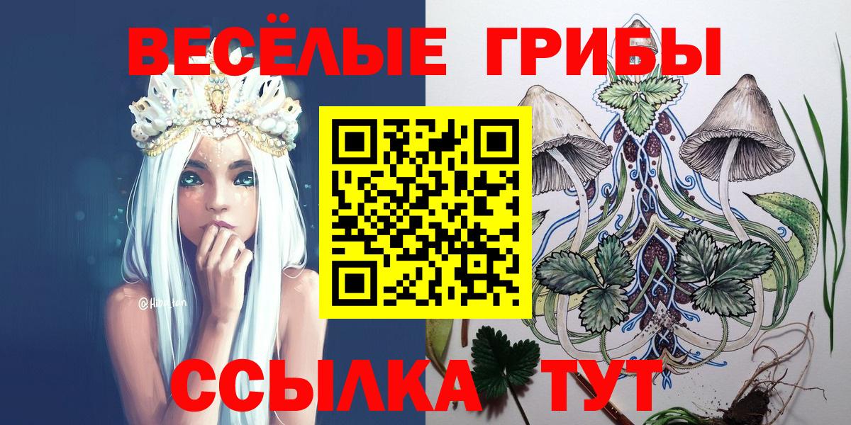 Галлюциногенные грибы мицелий  как найти наркотики  Карталы  Вход с VPN 